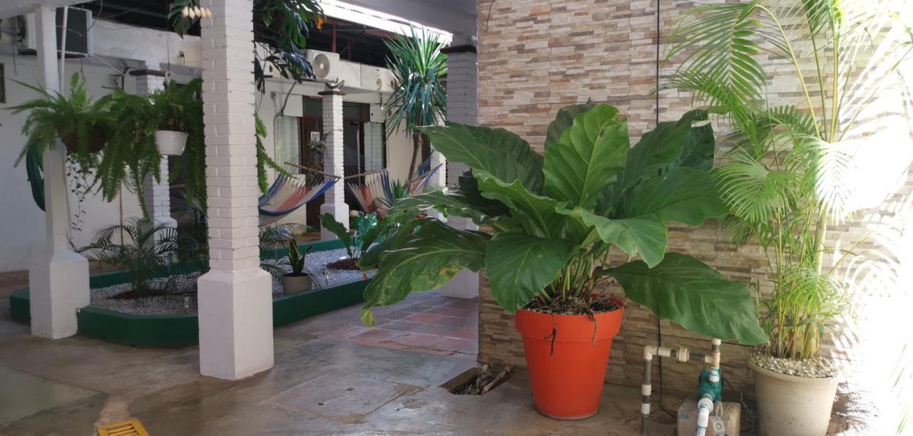 Hotel Aldea Pura Vida 푼타레나스 외부 사진